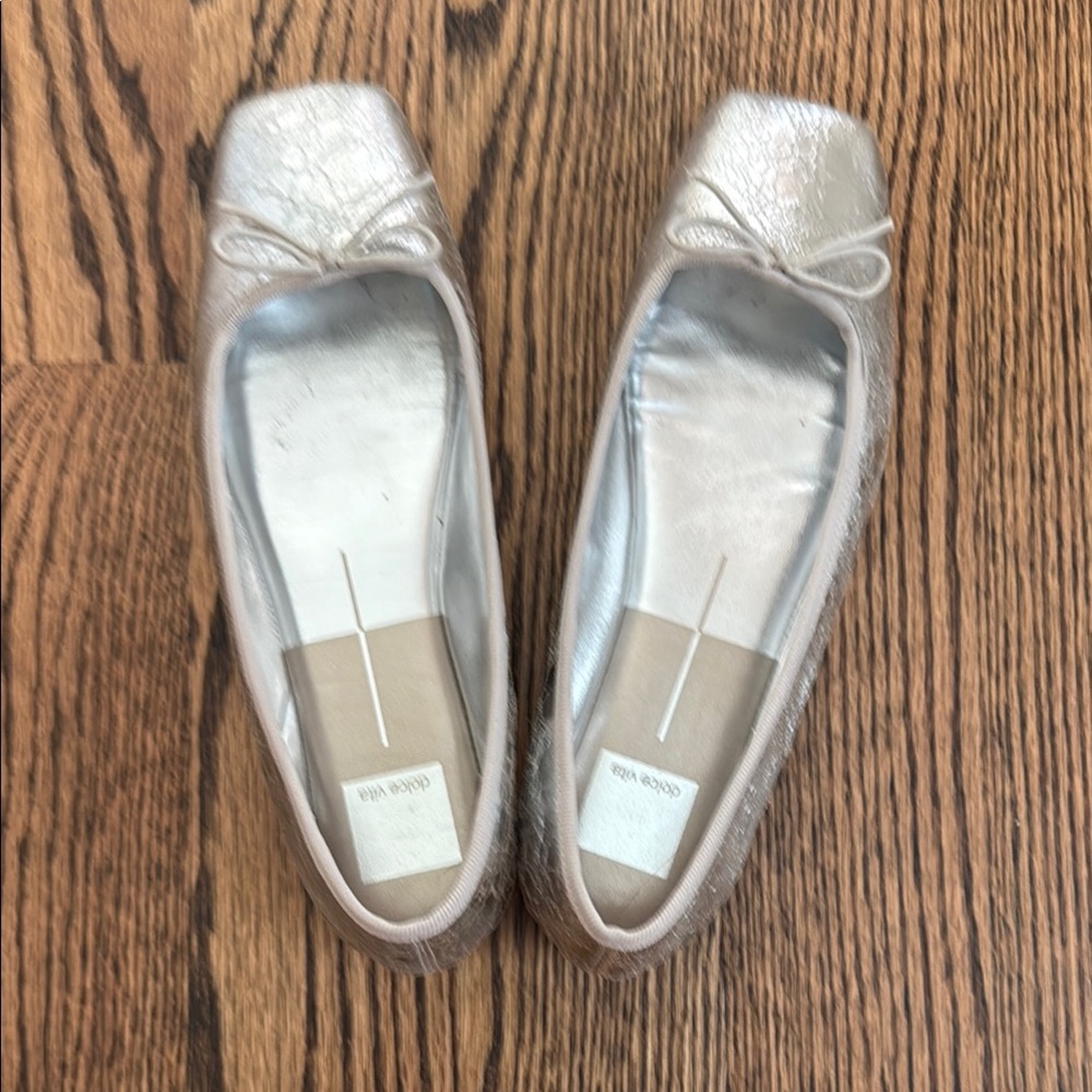 Elegant Silver Ballet Flats